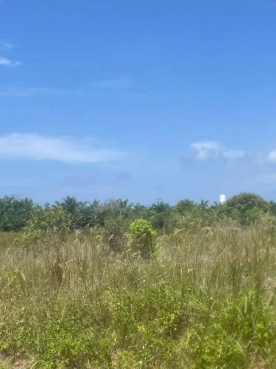 Land, Industry Zone, 4.61 acres, Main Road, Jimah Industrial Zone, Mukim Jimah, 71960 Port Dickson, Negeri Sembilan