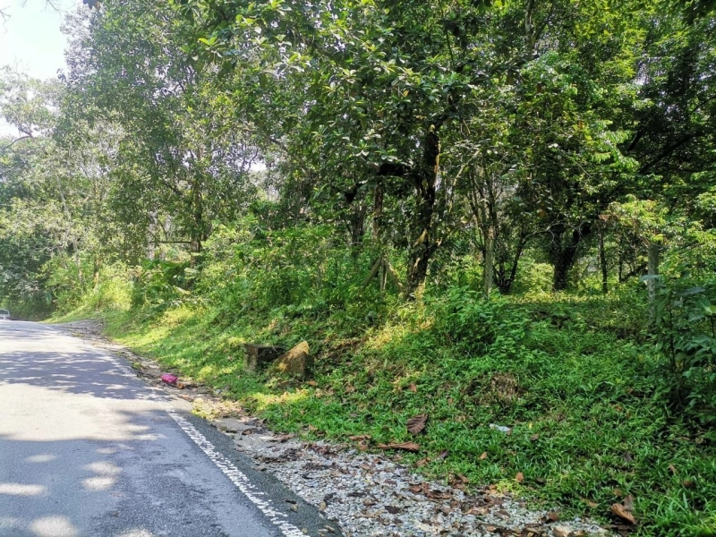 BUKIT LAGONG SELAYANG TANAH PERTANIAN