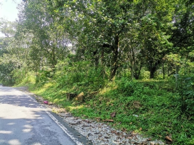 BUKIT LAGONG SELAYANG TANAH PERTANIAN