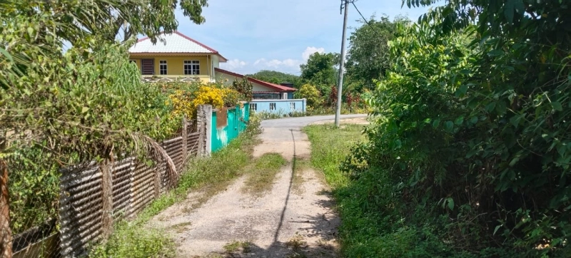 PERADONG KUALA KLAWANG TANAH PERTANIAN