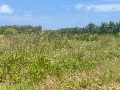Land, Industry Zone, 4.61 acres, Main Road, Jimah Industrial Zone, Mukim Jimah, 71960 Port Dickson, Negeri Sembilan