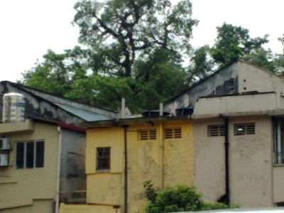 Jalan Talalla Heritage Home (Behind Mirama Hotel)