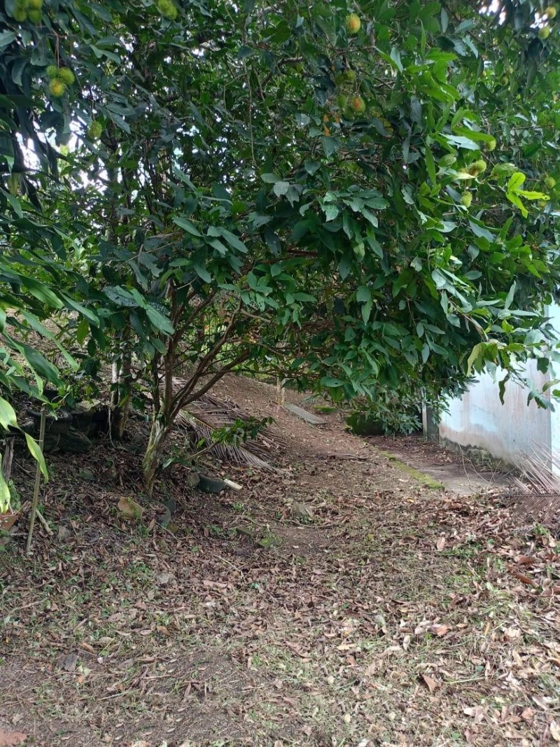 Malay Reserve Land Rembau, Negeri Sembilan For Sale