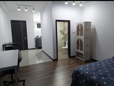 Molek Regency, Johor Bahru (studio unit fully furnished)