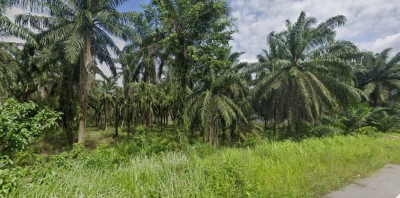 Gelang Patah Industrial Land For Sale