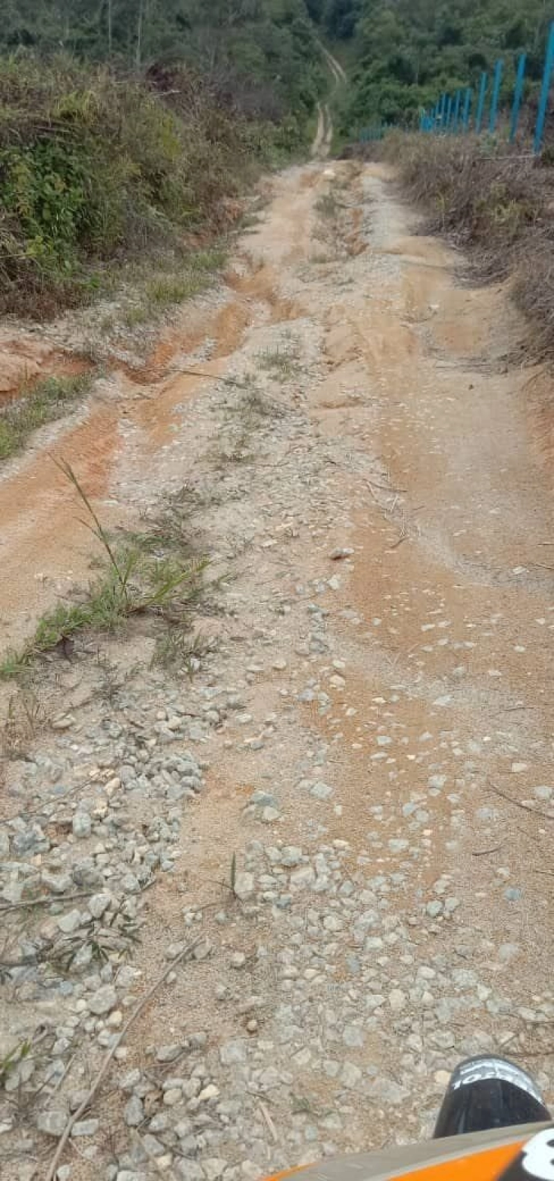 PERADONG KUALA KLAWANG TANAH PERTANIAN