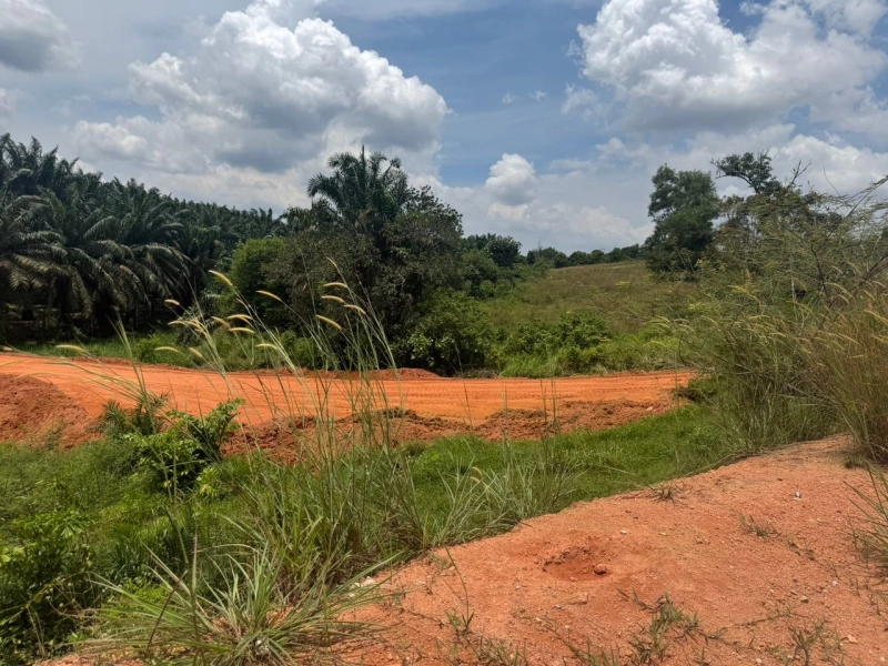 Seelong agriculture land for sale