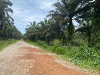 Kota Tinggi agriculture land for sale
