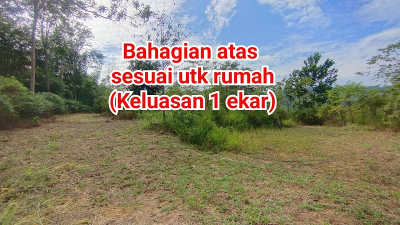 PANGSUN HULU LANGAT TANAH PERTANIAN