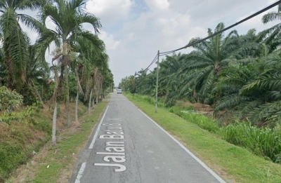 Agriculture Land, 4.99 ac, Jalan Batu 8, Kampung Sijangkang, 42500 Telok Panglima Garang, Selangor