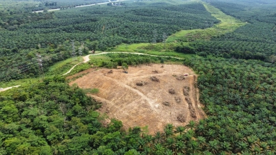 SUNGAI SERIGALA ULU BERNAM 44 NOS TANAH LOT
