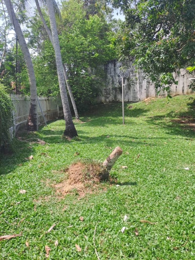 Spacious Bungalow | Jalan Geh Chong Keat, Tanjung Bungah | 13,000 sq ft Land | RM4mil