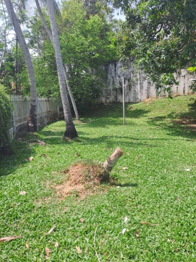 Spacious Bungalow | Jalan Geh Chong Keat, Tanjung Bungah | 13,000 sq ft Land | RM4mil