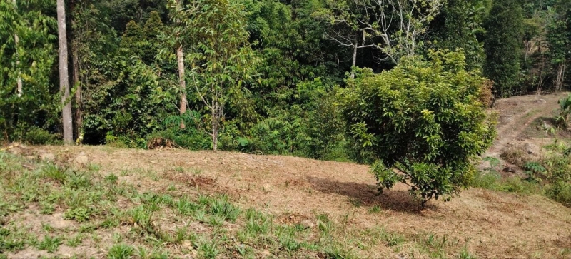 HULU LANGAT BATU 24 TANAH PERTANIAN