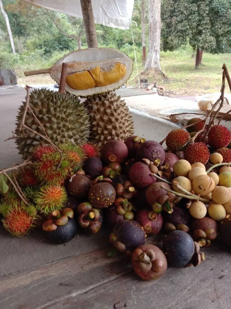 SUNGAI SEKAMAT KAJANG AGRICULTURAL LAND