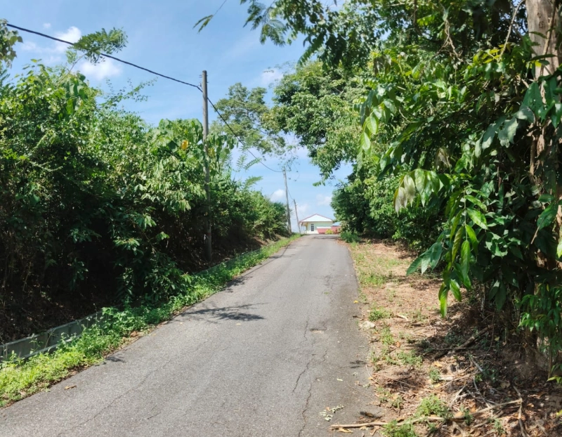 PERADONG KUALA KLAWANG TANAH PERTANIAN