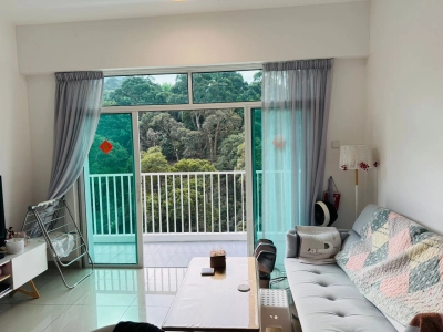 Setia Pinnacle Condo (Sg Ara)