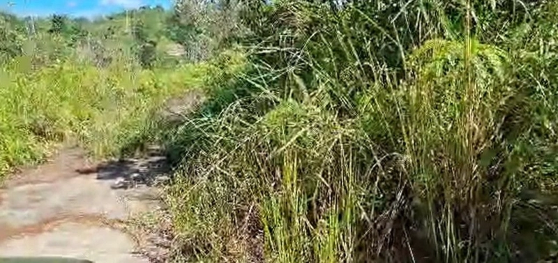 Bungalow Land, Very Cheap, 6878 sq ft, Jalan Kenari, Lembah Beringin, 44100 Selangor