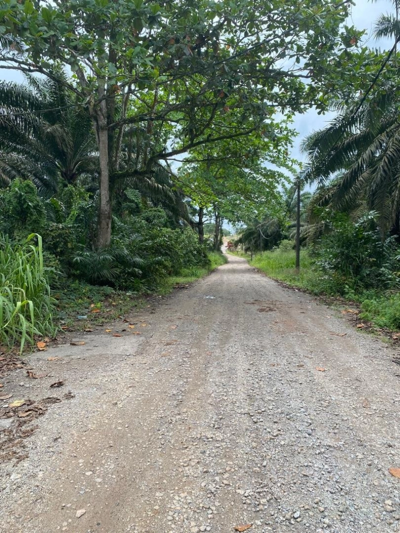 Kota Tinggi agriculture land for sale