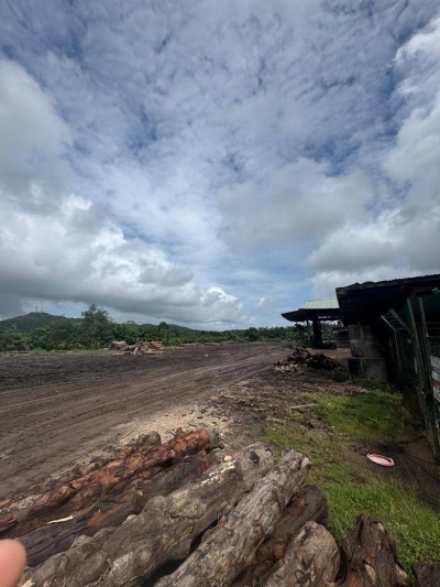 Mersing Heavy Industry Land For Sale