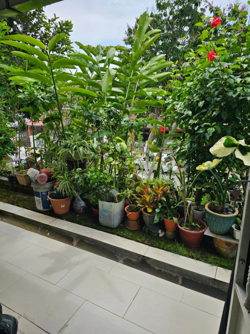Mutiara View Gelugor 1054sf 2 Car Park Ground Floor Worth to buy