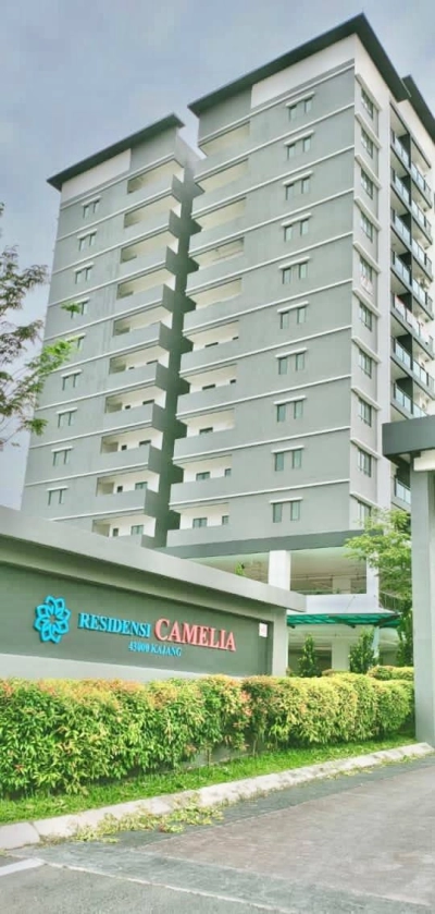 Residensi Camelia Bandar Sg Long Kajang Condominium For Sale Freehold Low Floor 2 Car Park