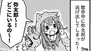 カメはカメでも