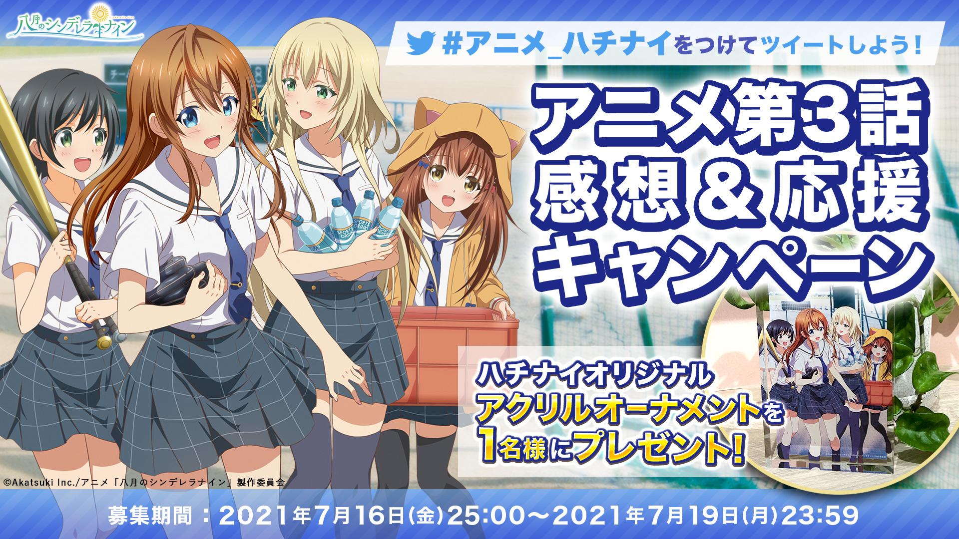 アニメハチナイ 感想 応援キャンペーン 開催 八月のシンデレラナイン ハチナイ