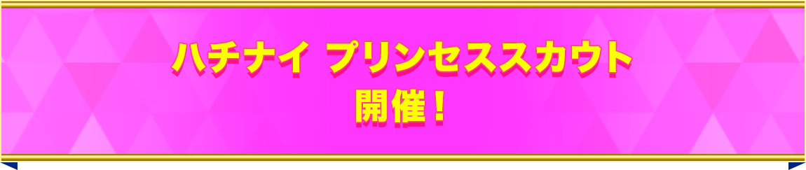 ハチナイ プリンセススカウト開催！