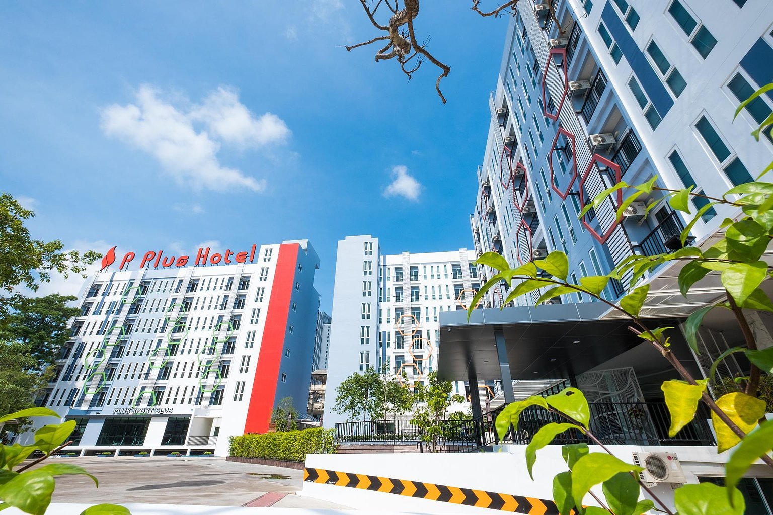 《P Plus Hotel》– Real Guest Stories & Booking Info | HafH