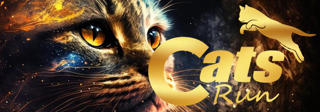 CATS RUN SANTOS 2023 - Minhas Inscrições