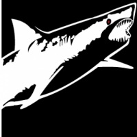2026 Alcatraz Sharkfest Swim