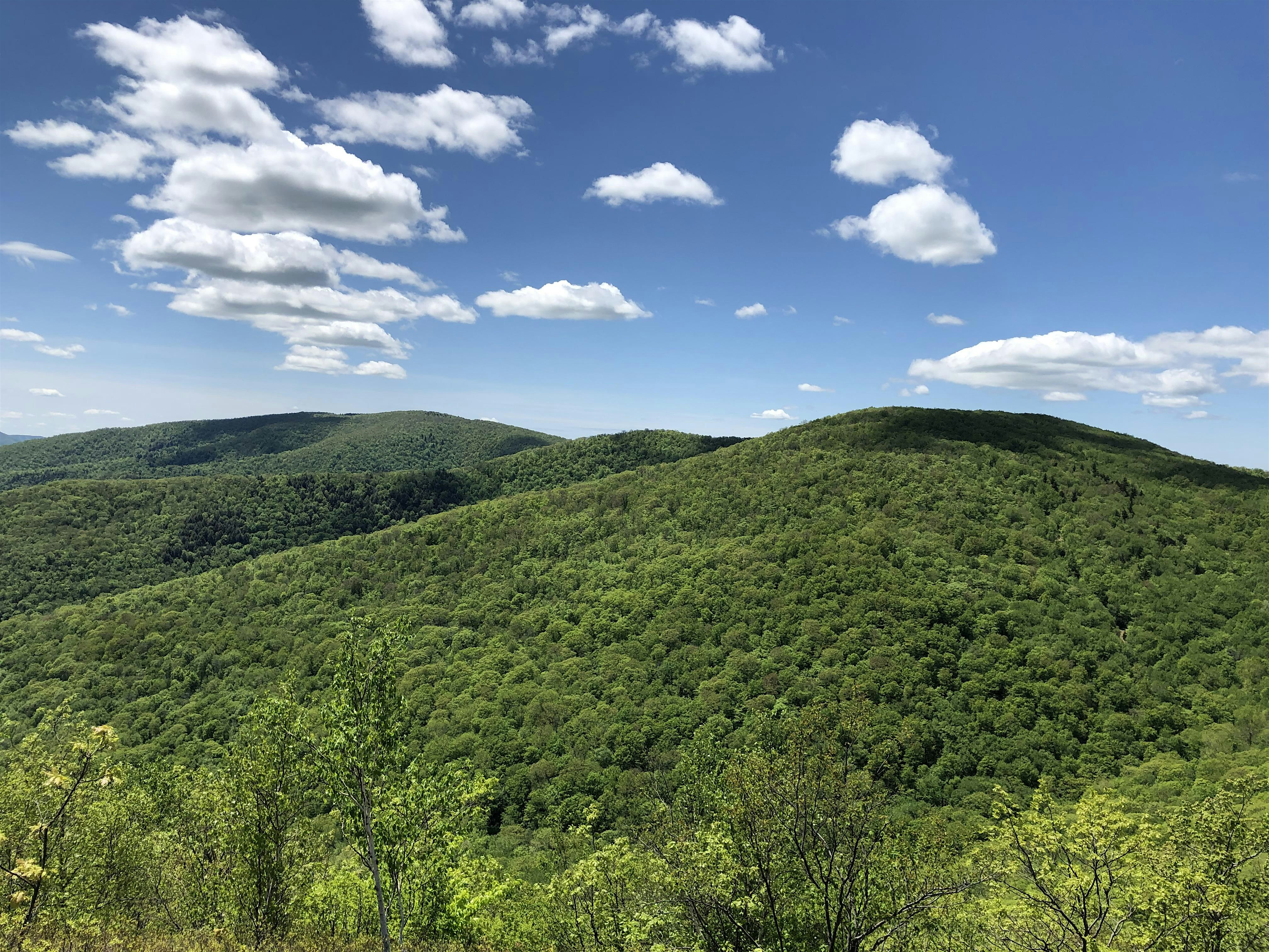 2024 Taconic Hiking Club's End-to-End Challenge