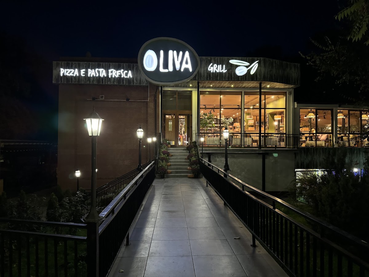 Oliva photo 2