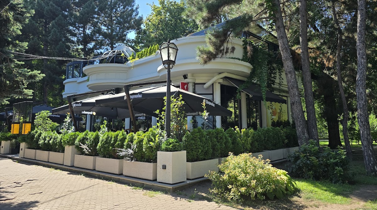 Myata Café & Bar photo 2