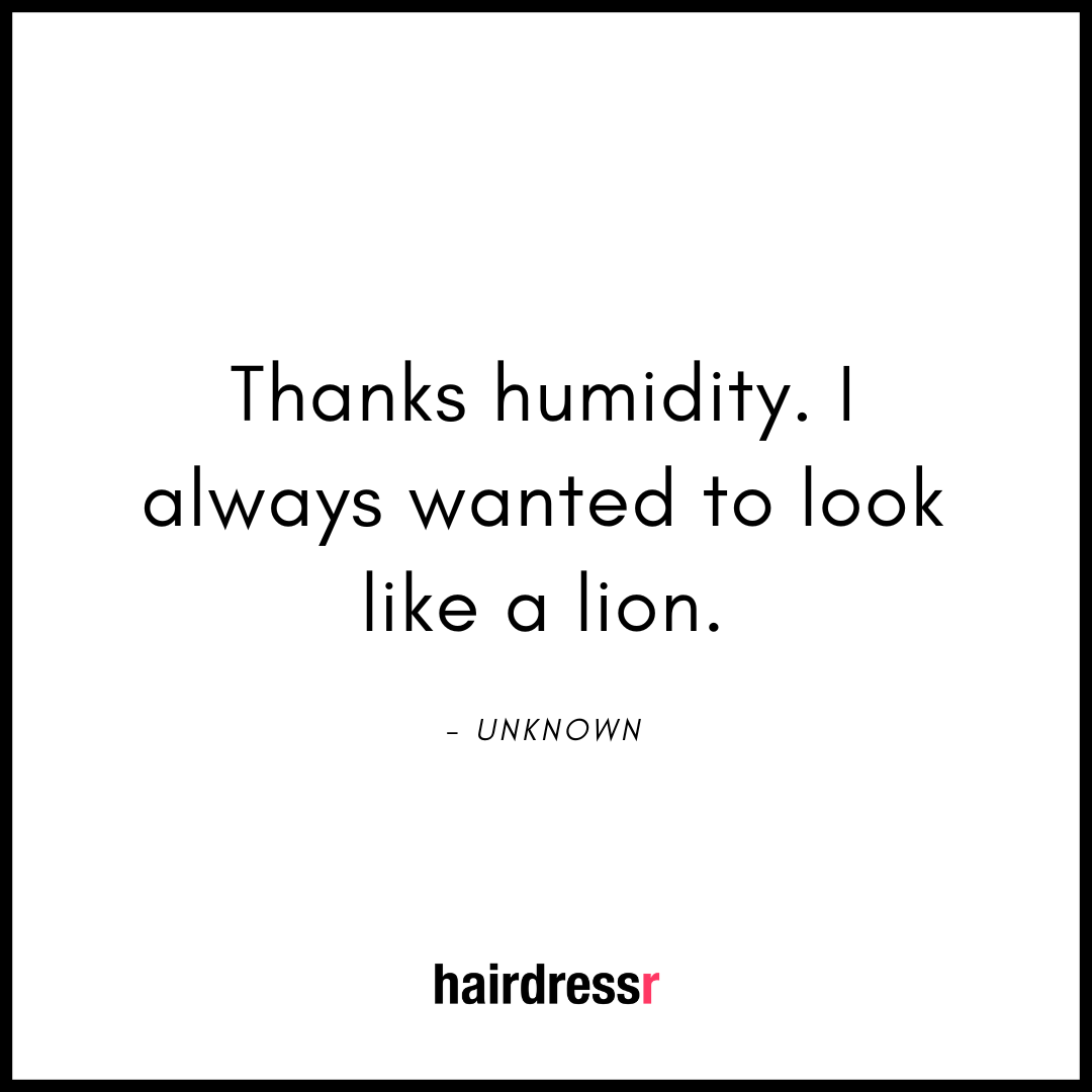 Thanks humidity. I always wanted to look like a lion.