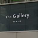 The gallery hair