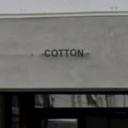 Cotton 小田原店