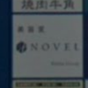 NOVEL 富沢店