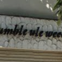 Tumble weed