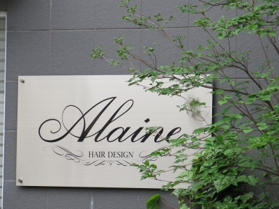 Alaine hair design