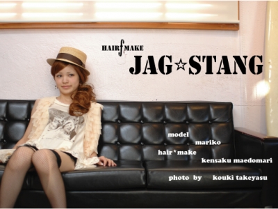 JAG STANG