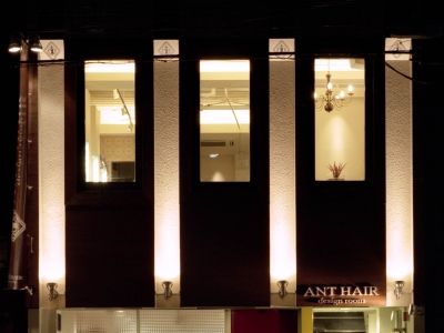 ant hair designroom