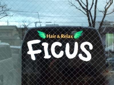 Hair&Relax FICUS