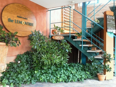 the LEMON TREE 庚午店