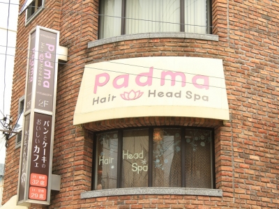 Padma Hair