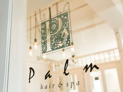 hair and spa palm