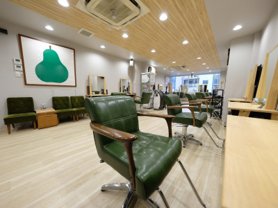 hair salon nano