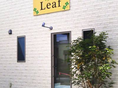 Hair Salon Leaf