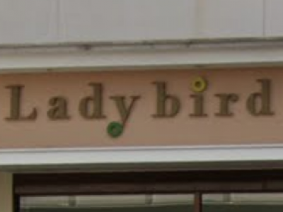 Lady bird